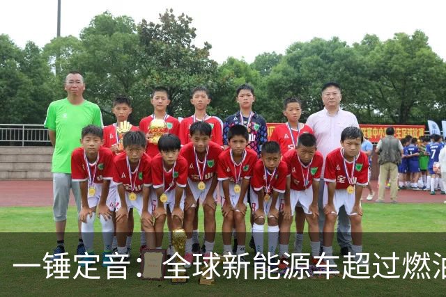 一锤定音：全球新能源车超过燃油车是假新闻
