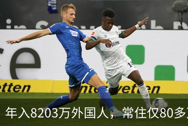 年入8203万外国人，常住仅80多万！五星卡首日仅50人申领！