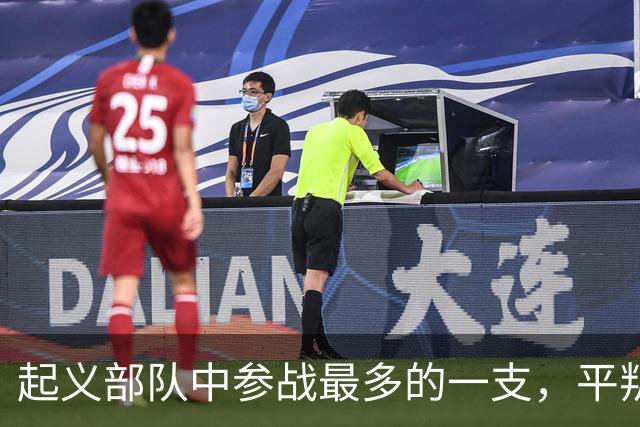起义部队中参战最多的一支，平叛、剿匪、对印、对越，一仗没落下
