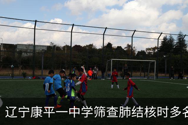 辽宁康平一中学筛查肺结核时多名学生共用一个针头，当地通报