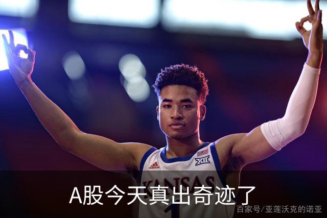 A股今天真出奇迹了